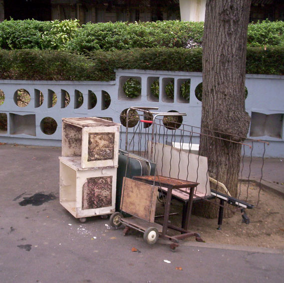 Encombrants au pied d'un arbre