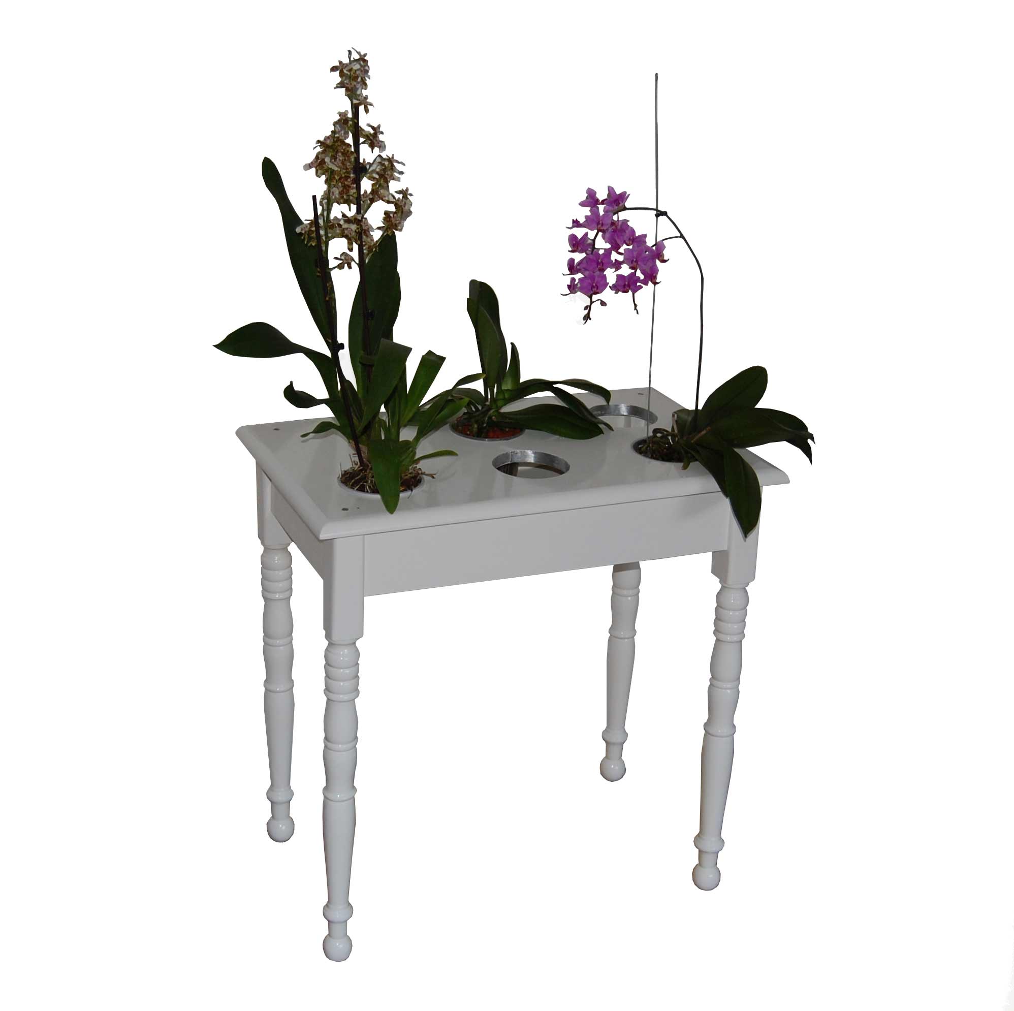 Orchidesk